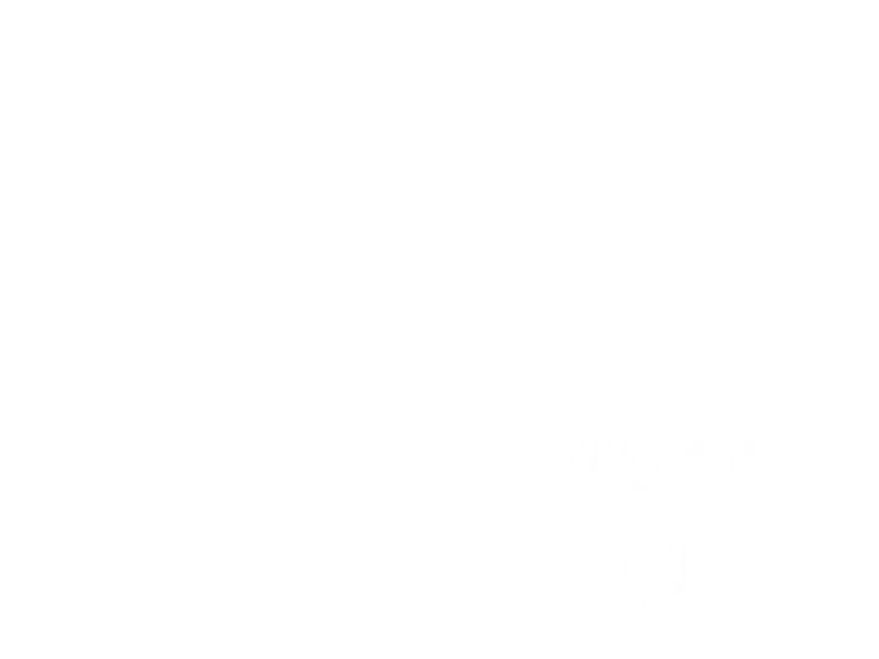 Jaquette : Viper V8