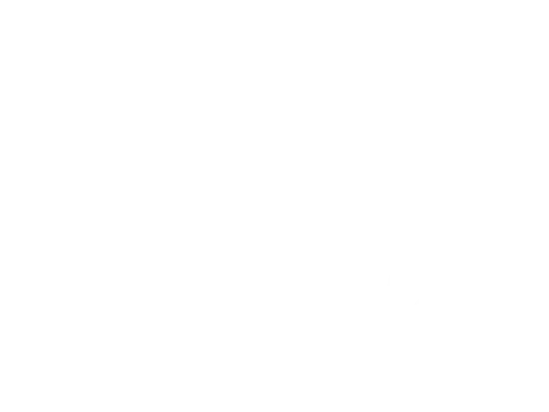 Jaquette : Z