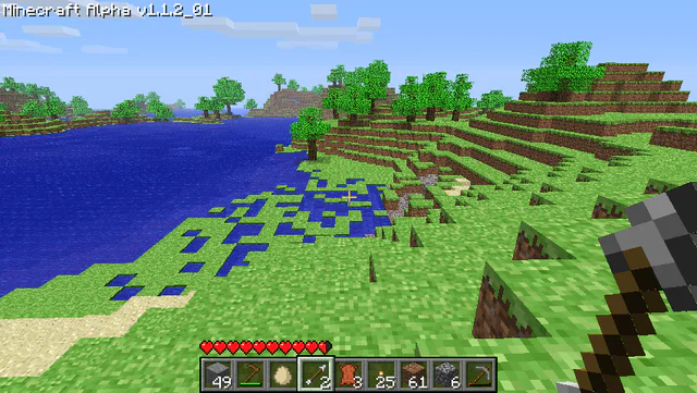 Capture : Minecraft