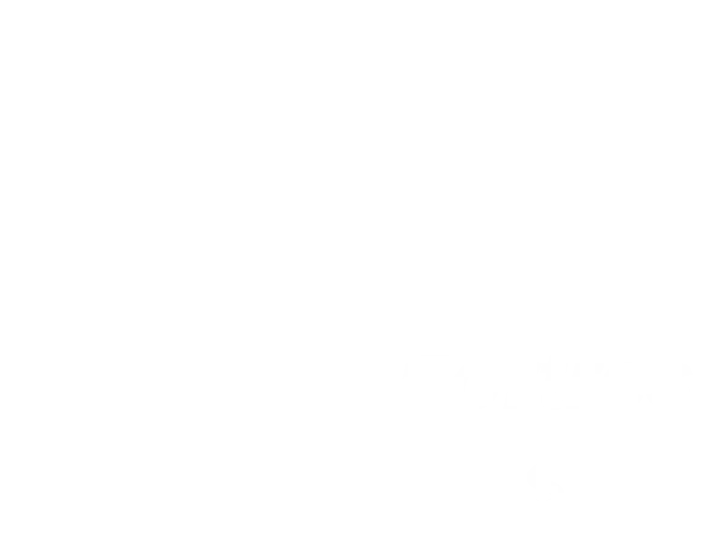 Jaquette : Fortress