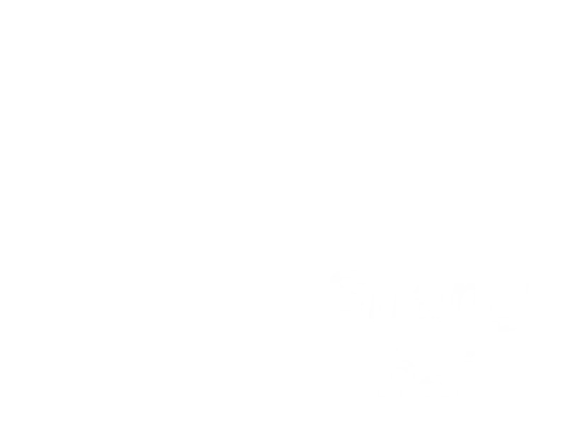 Jaquette : Shanghai