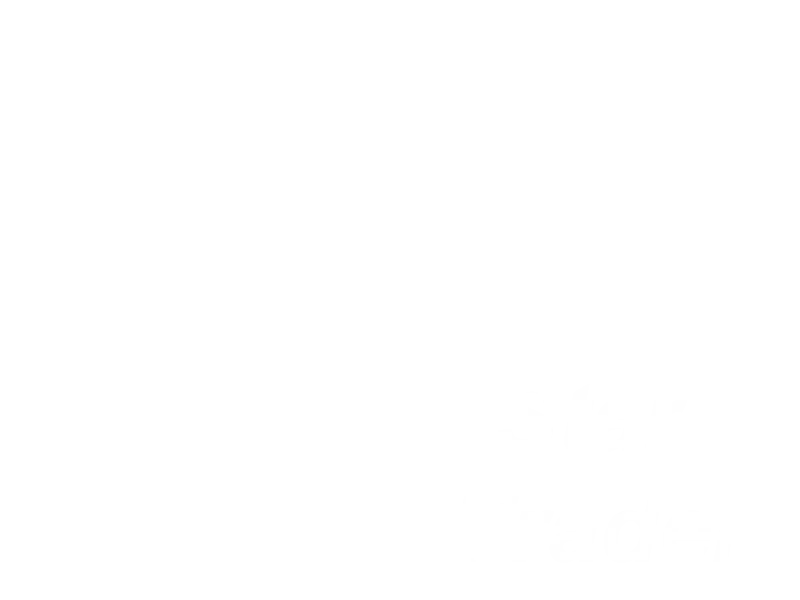 Jaquette : Star Trader