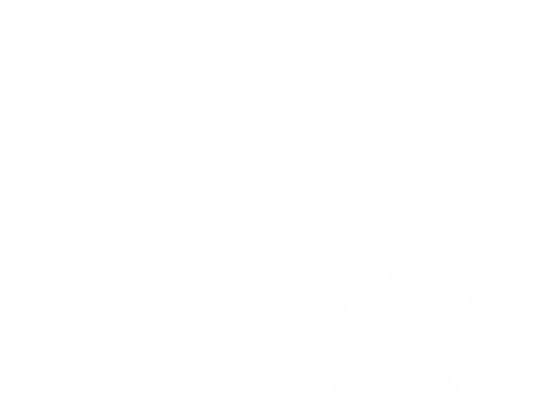 Jaquette : Castlevania : Lords of Shadow Collection
