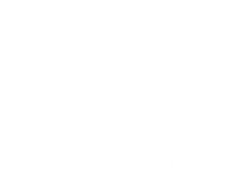 Jaquette : Dynogems