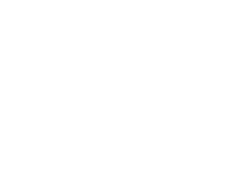 Jaquette : Luftrausers