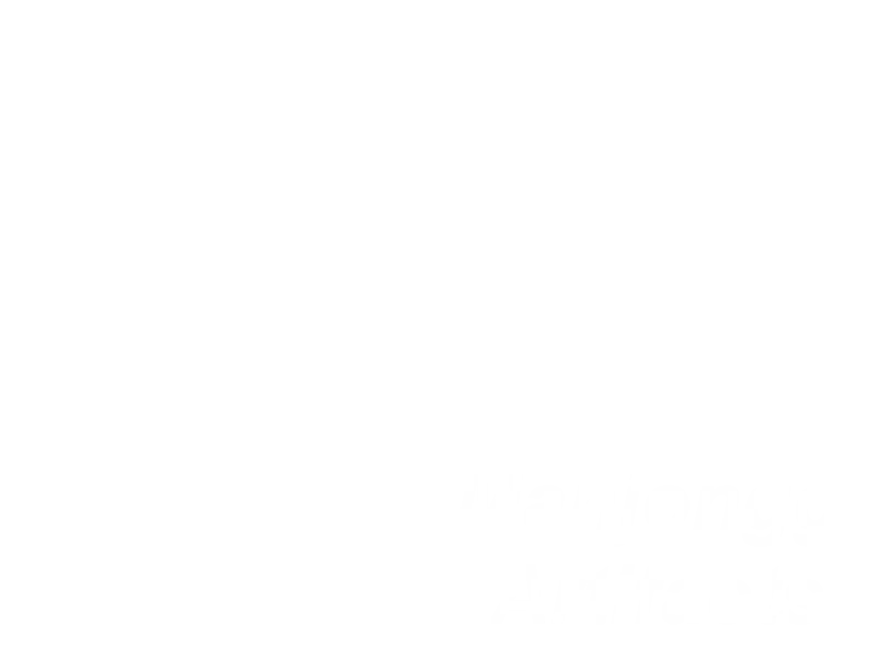 Jaquette : Mahjongg Artifacts