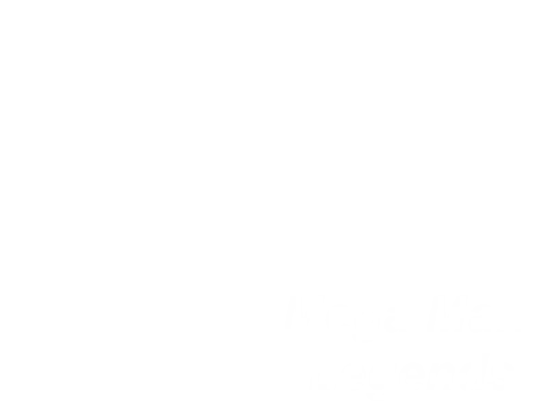 Jaquette : Mega Man Legends