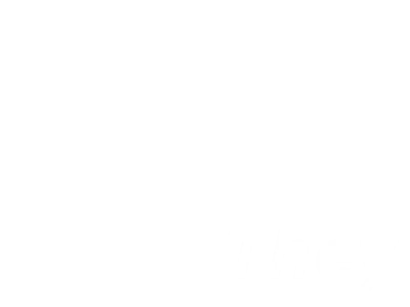 Jaquette : They