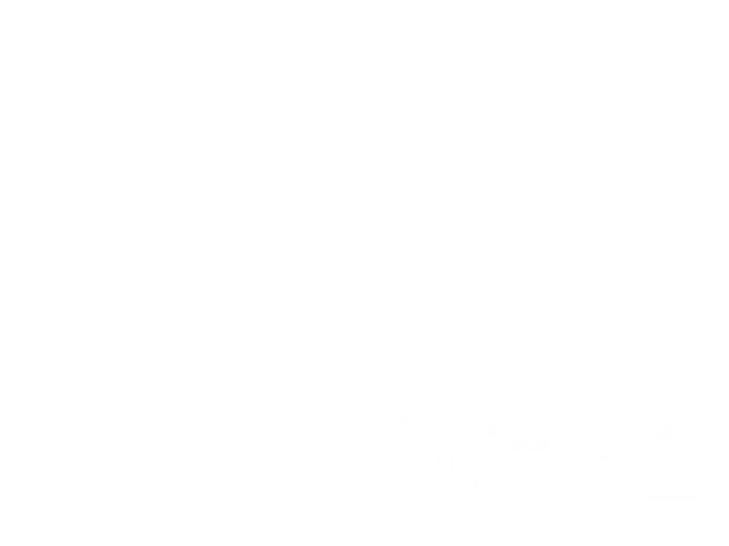 Jaquette : Wrc 2