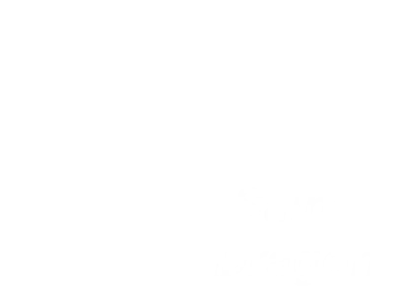 Jaquette : Saint Dragon